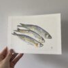 Affiche "Les sardines de Carry" – Image 2