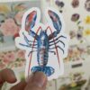Lot de 3 Stickers – Image 3