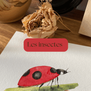 Les insectes