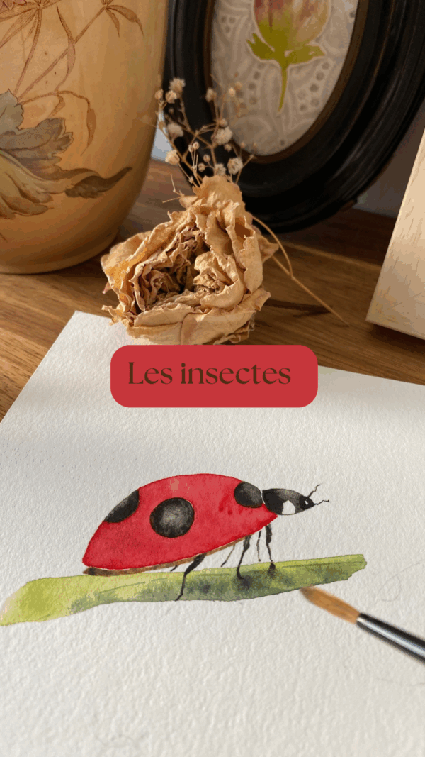 Les insectes