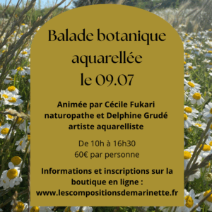 Balade botanique aquarellée le 09/07/2025