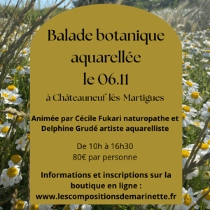 Stage 06/11 : Atelier botanique