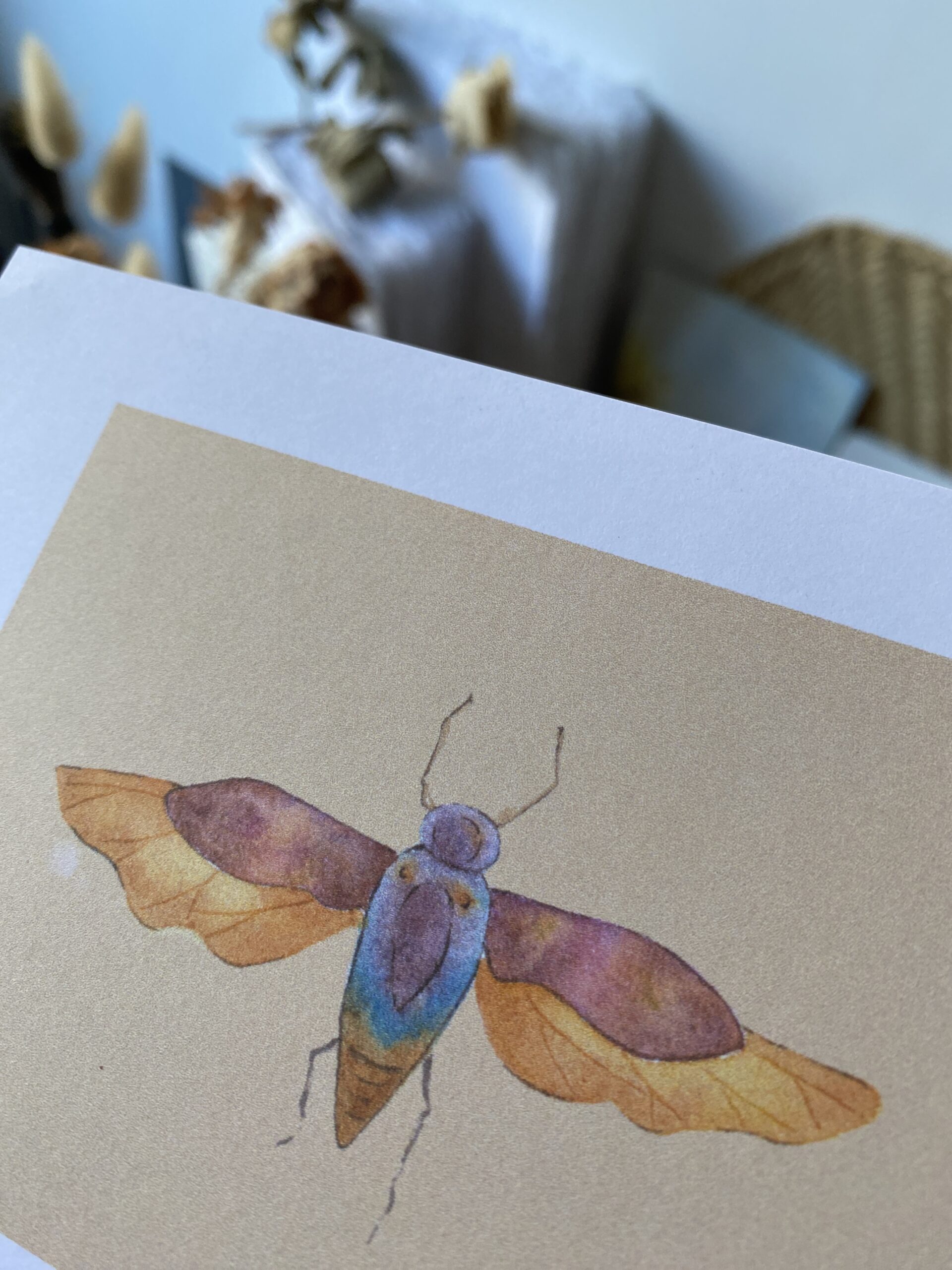 Cigale - Papier Glacé (Avec Enveloppe) – Image 2