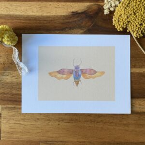 Cigale - Papier Glacé (Avec Enveloppe)