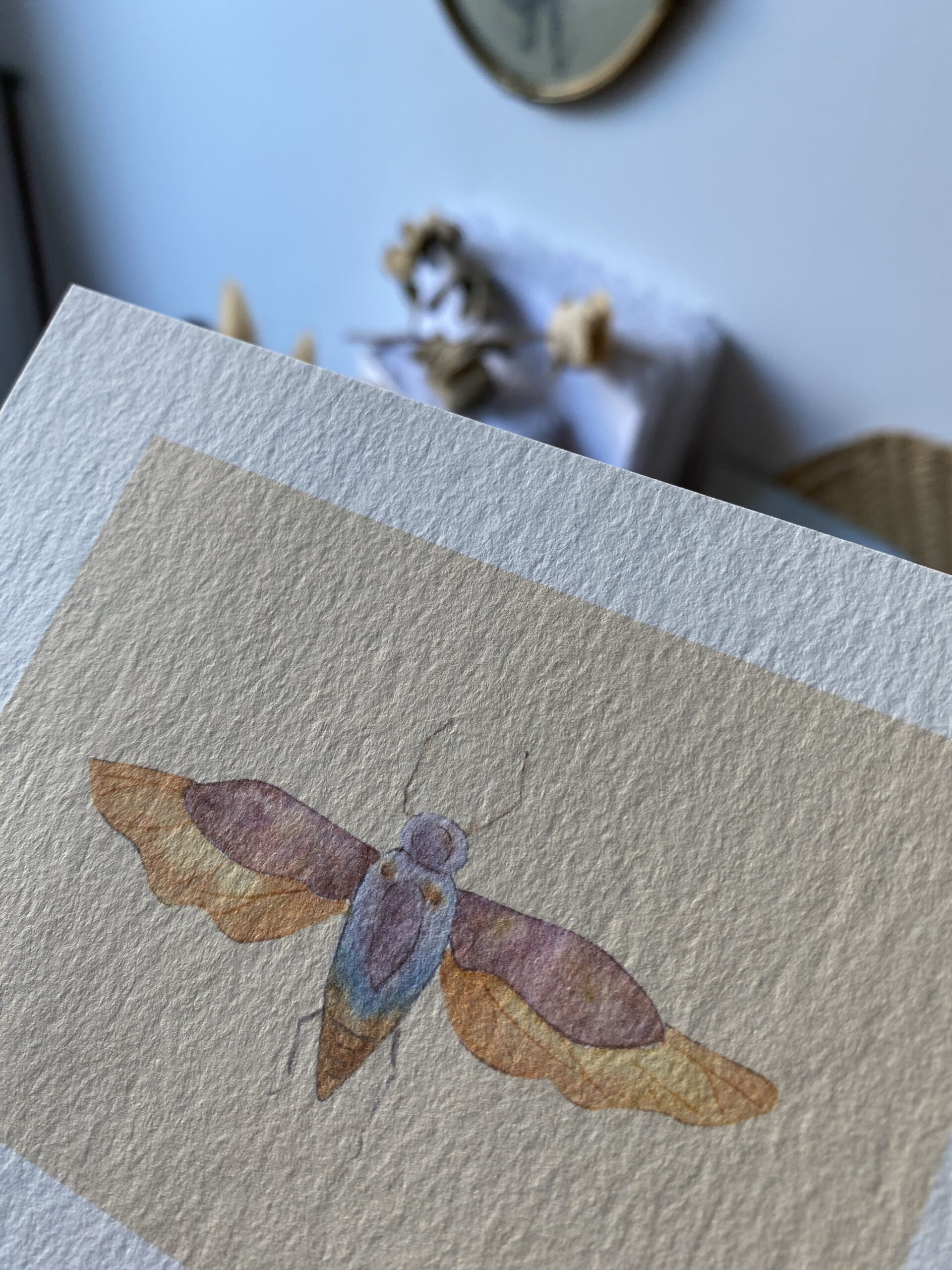 Cigale - Papier Mat – Image 2