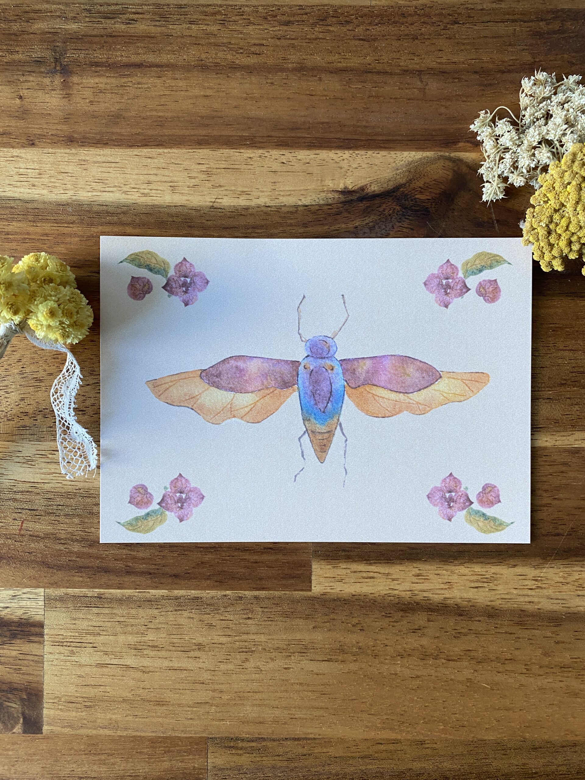 Cigale et fleurs d'hortensia - Papier Glacé