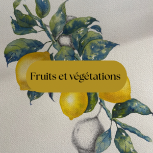 Atelier Aquarelle 10/02 : Fruits et végétations