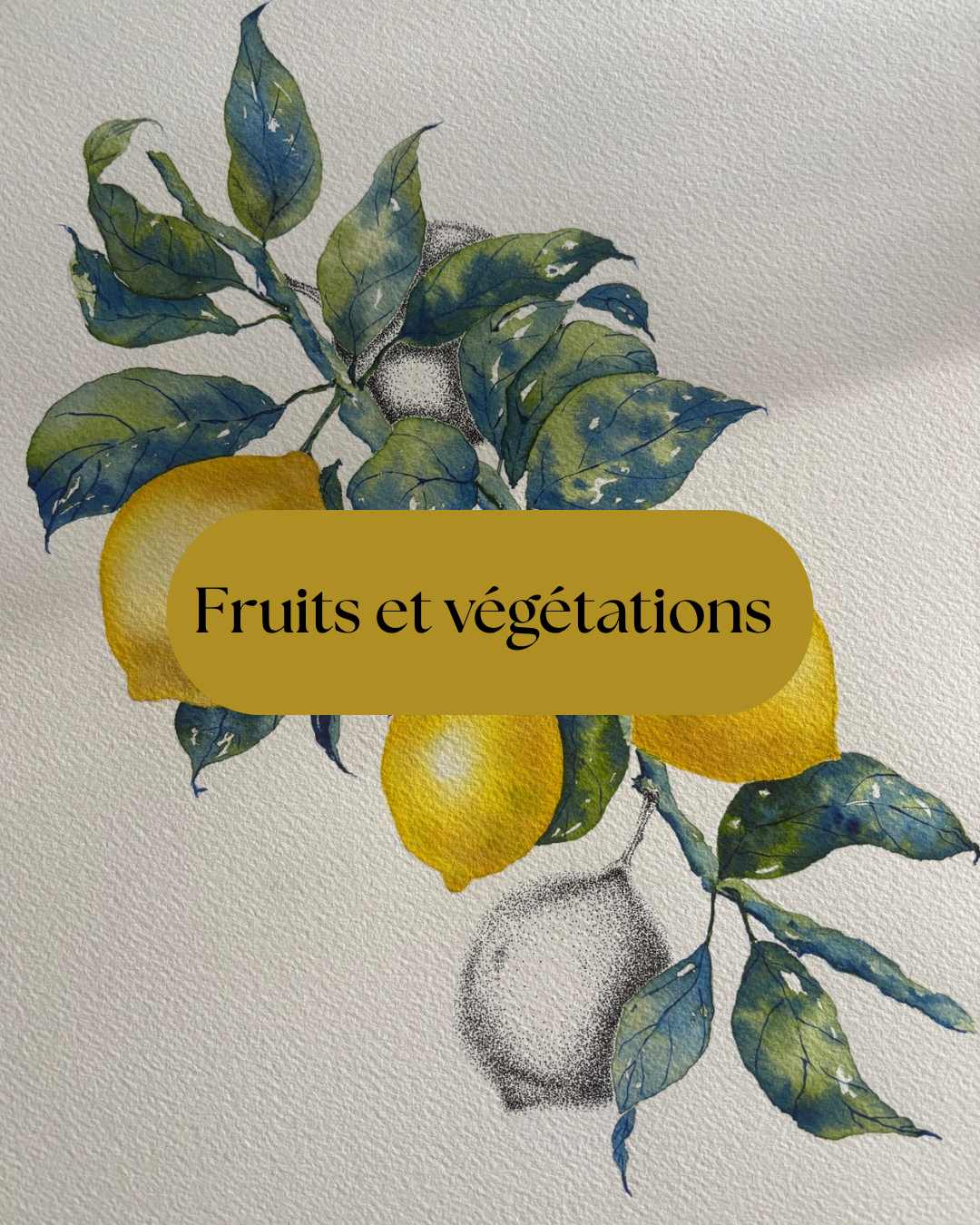 Atelier Aquarelle 10/02 : Fruits et végétations