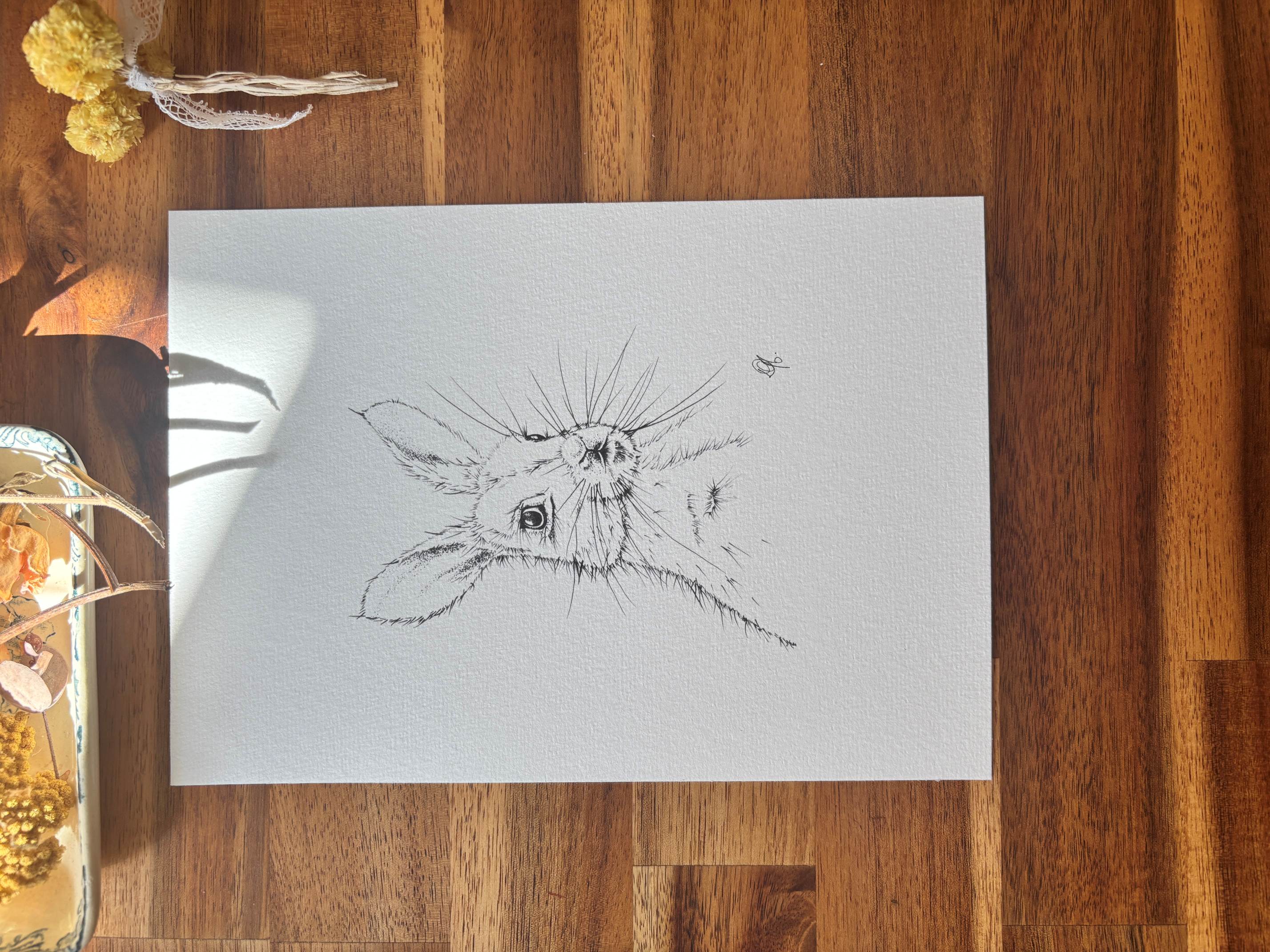 Le lièvre affiche V1