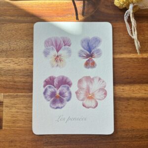 Les Pensées (Bords ronds)