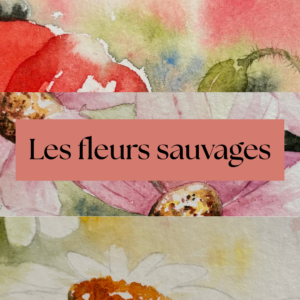 Atelier Aquarelle 13/06 : Les Fleurs Sauvages