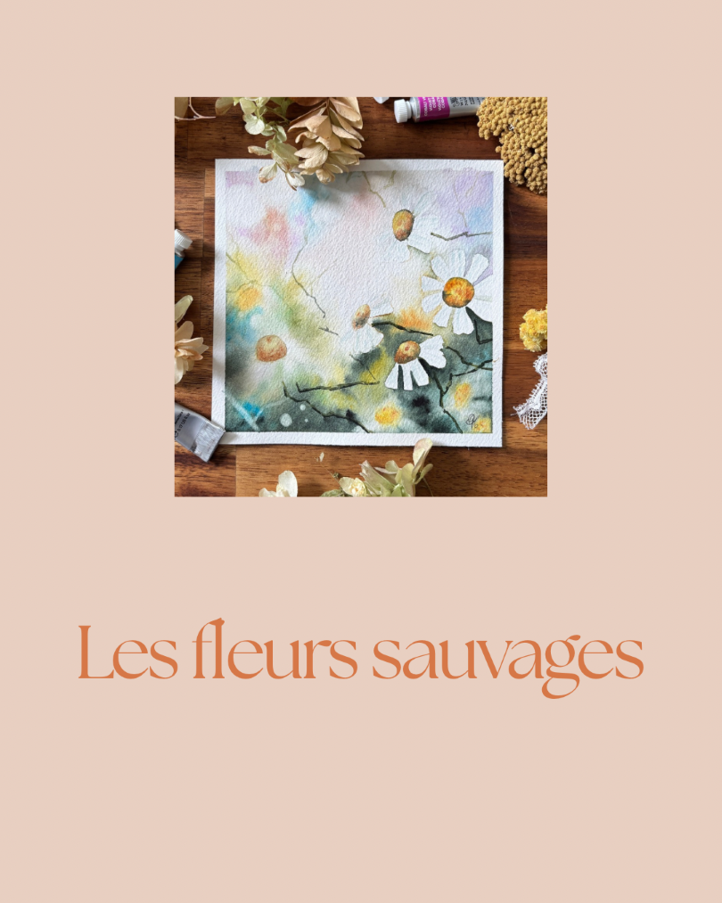 Atelier en ligne : Les fleurs sauvages